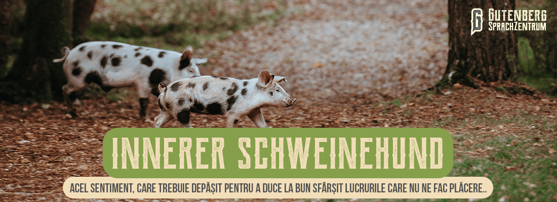 34 de cuvinte germane intraductibile si amuzante 9 cuvinte intraductibile din limba germană