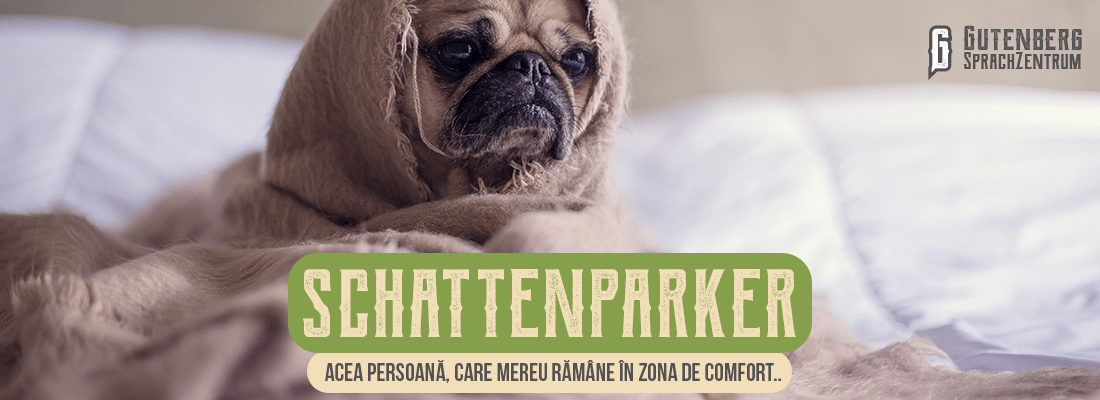 34 de cuvinte germane intraductibile si amuzante 20 cuvinte intraductibile din limba germană