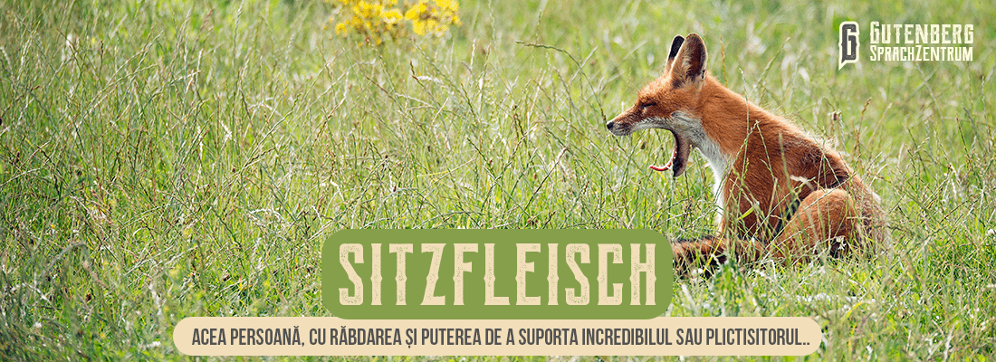 34 de cuvinte germane intraductibile si amuzante 23 cuvinte intraductibile din limba germană