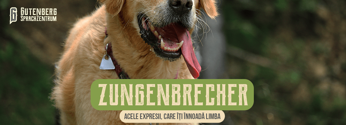 34 de cuvinte germane intraductibile si amuzante 32 cuvinte în limba germană