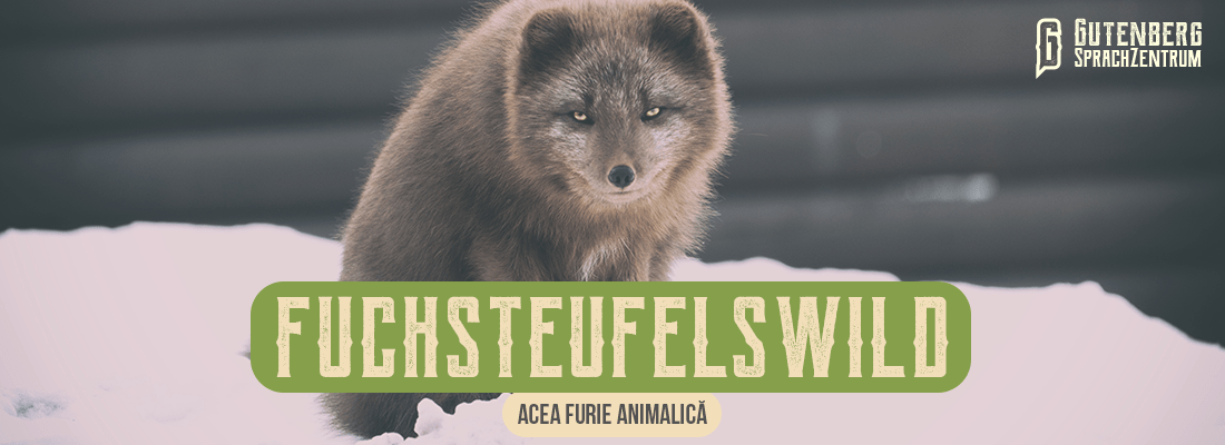 34 de cuvinte germane intraductibile si amuzante 6 cuvinte intraductibile din limba germană